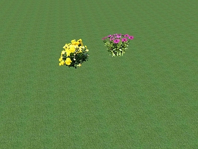 2D花草 花坛花草