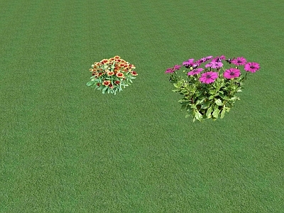 2D花草 花坛花草