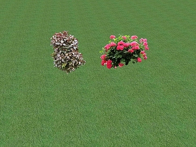 2D花草 花坛花草