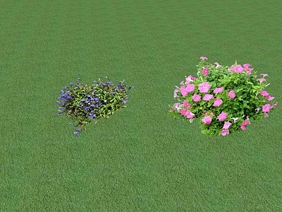2D花草 花坛花草