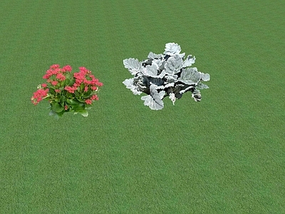 2D花草 花坛花草