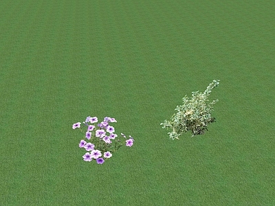 2D花草 花坛花草