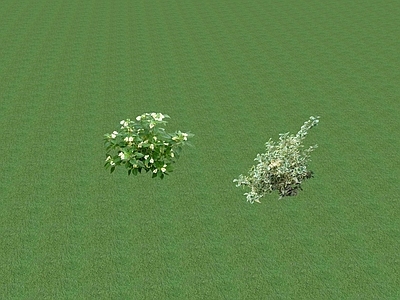 2D花草 花坛花草