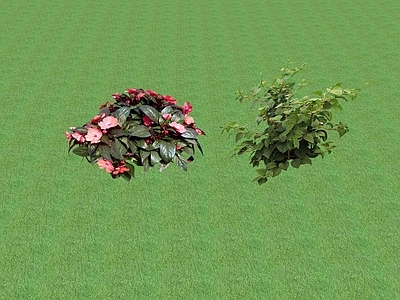 2D花草