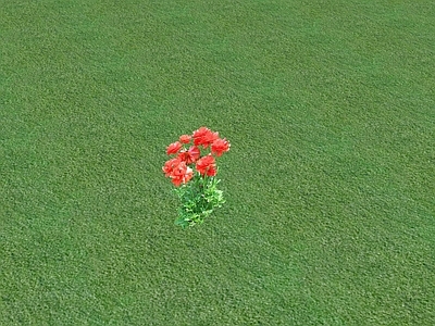 花草 花坛花草