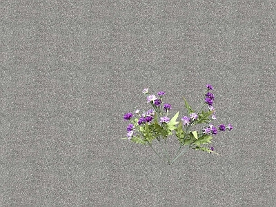 花草 花架花草