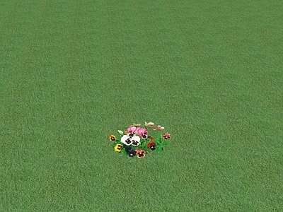 花草 花坛花草