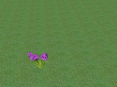 花草 花坛花草