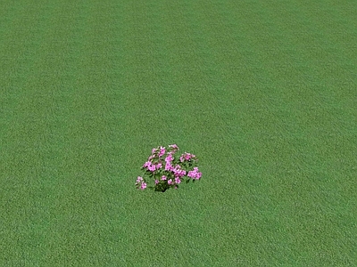 2D花草