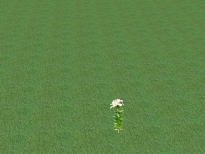花草 花坛花草