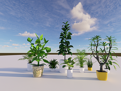 植物组合 盆栽组合 树池植物组合