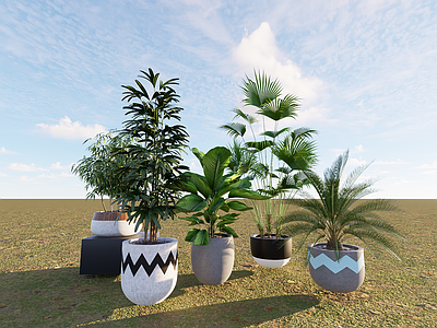 植物组合 盆栽组合 树池植物组合
