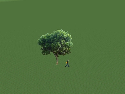 2D乔木 景观树