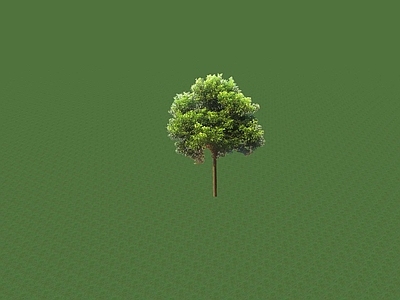 2D乔木 景观树