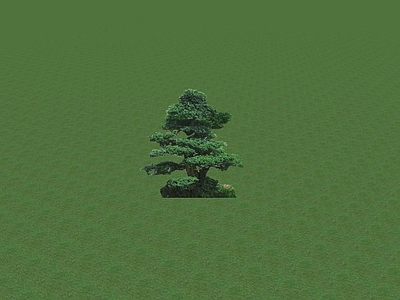 2D乔木 景观树