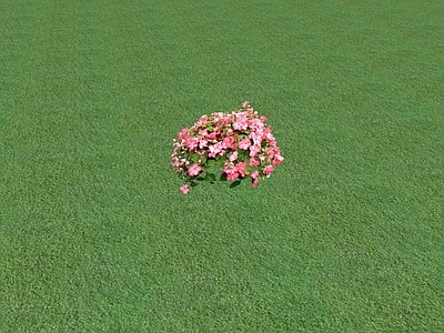 2D乔木 景观树