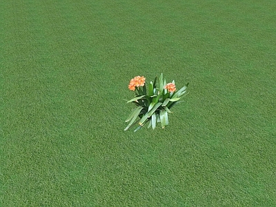 花草 花架花草