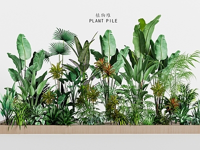 植物堆 景观盆栽 绿植组合