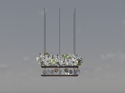 植物组合 现代花艺 盆栽组合 架子 锅 餐厅
