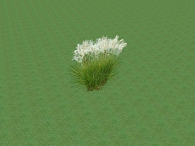 花草 花架花草
