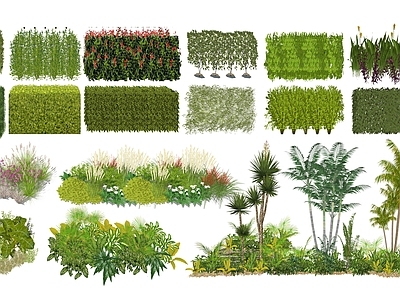植物组合 热带景观植物组合 灌木景观花草组团 绿篱灌木丛 绿篱隔断植物景墙 公园生态植物组合