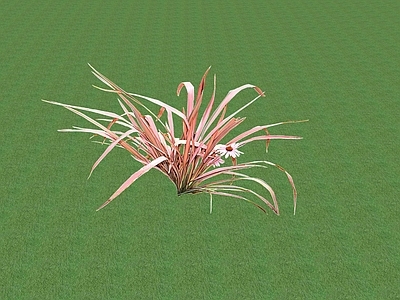 花草 花坛花草