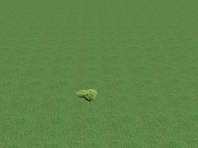 花草 花盆花钵