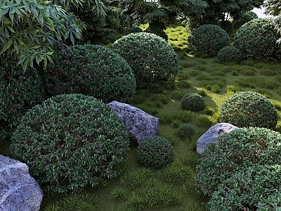 其他绿植 树木 植物 绿植 灌木 草坪