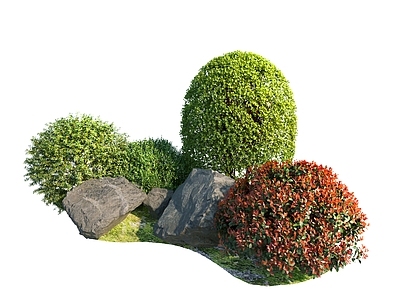 植物堆 红叶石楠 黄杨木 灌木组合 灌木小景