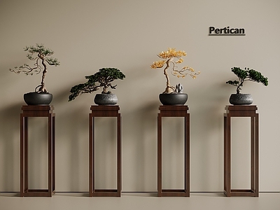 盆栽 迎客松 松树 罗汉松