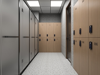 现代更衣室 现代更衣室 淋浴间