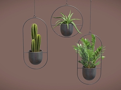 盆栽 吊钟 吊兰 盆栽 吊兰植物 植物摆件