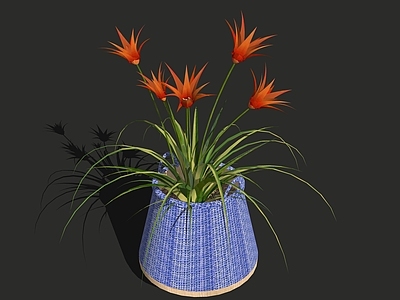 花草 盆栽花草 竹编篮 花盆花钵