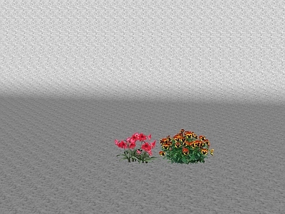 花草 花坛花草