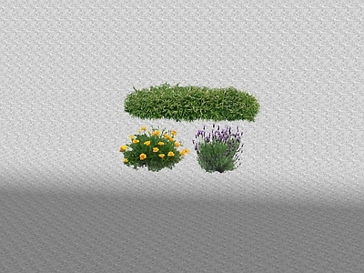 花草 花架花草