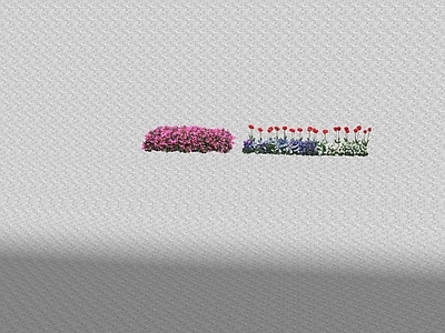 花草 花坛花草