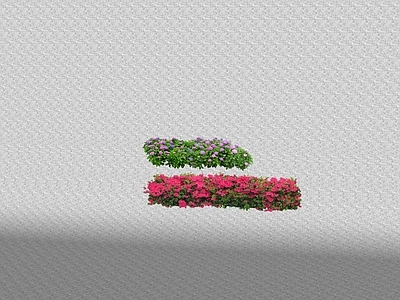 花草 花坛花草