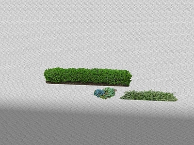 花草 花坛花草