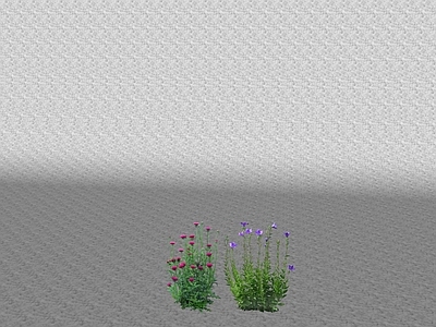 花草 花架花草