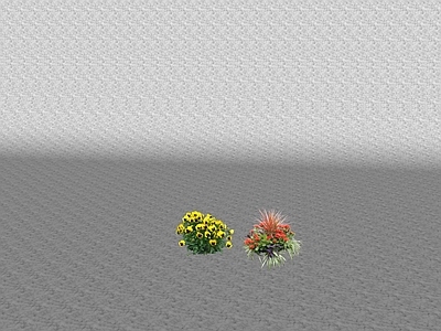 花草 草坪 花坛花草