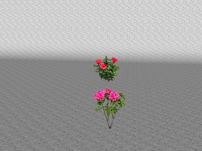 花草 花坛花草