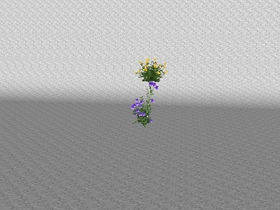 花草 花坛花草