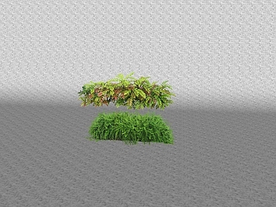 花草 花坛花草