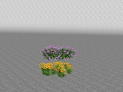 花草 花坛花草