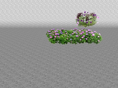 花草 花坛花草