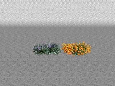 花草 花坛花草