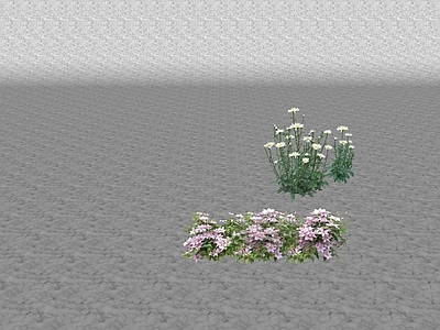 花草 花坛花草