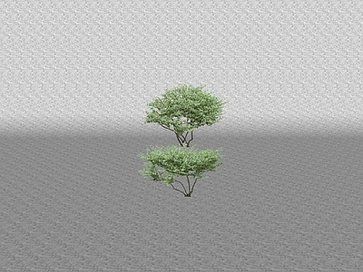 花草 花坛花草