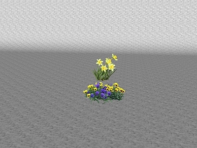 花草 花坛花草