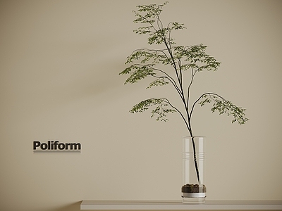 盆栽 现代盆栽 绿植花瓶